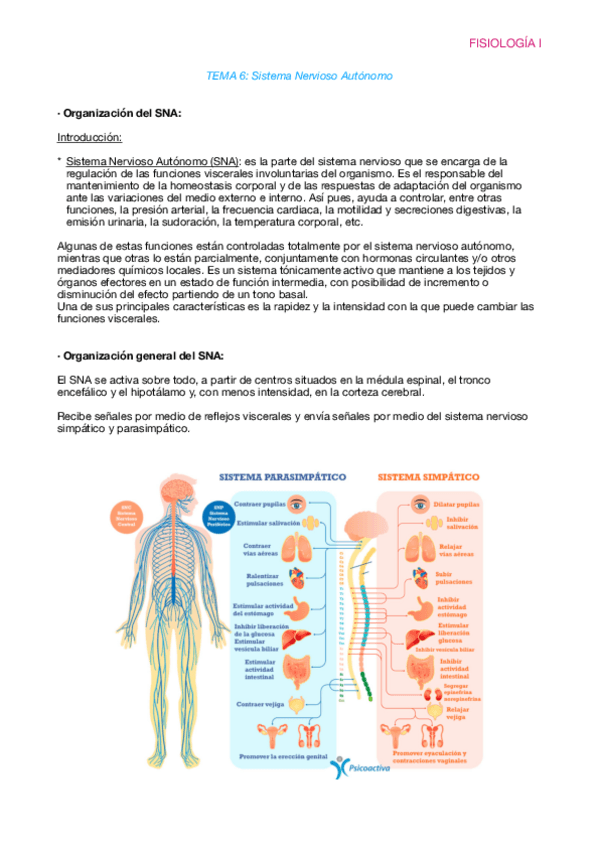 Miniatura del documento Fisiologia-T6.pdf