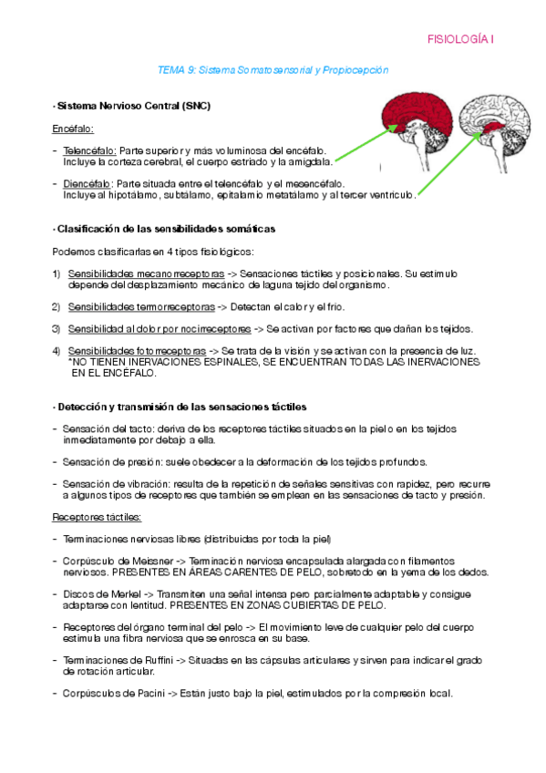 Miniatura del documento Fisiologia-T9.pdf