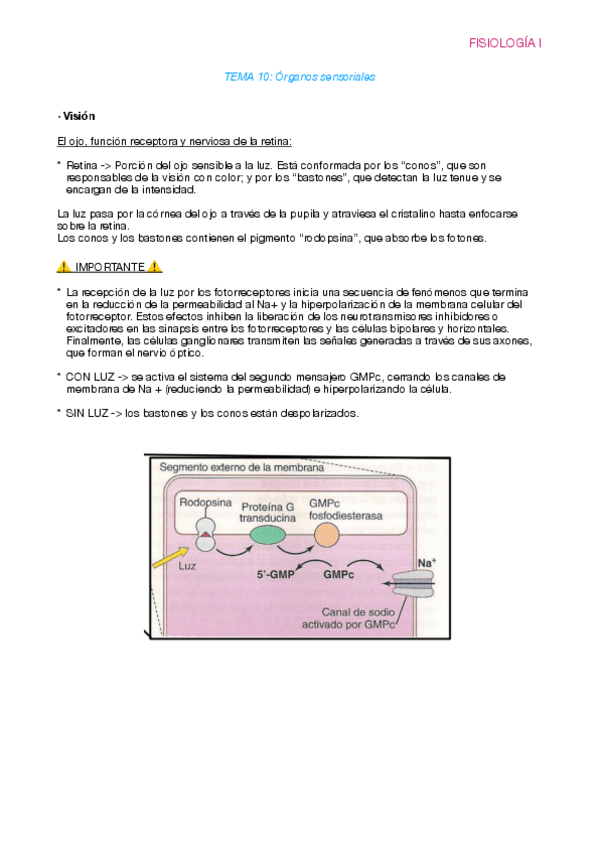 Miniatura del documento Fisiologia-T10.pdf