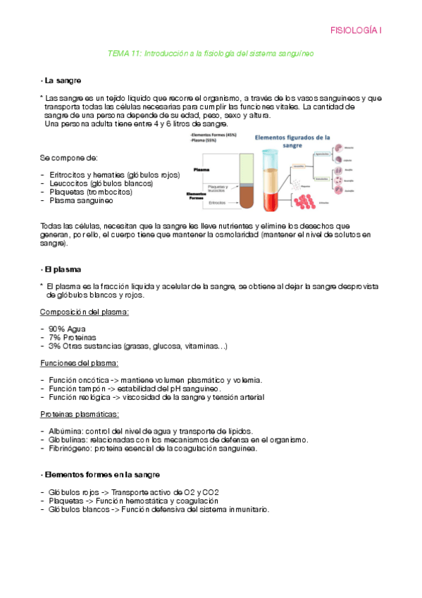 Miniatura del documento Fisiologia-T11.pdf