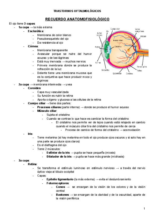 Miniatura del documento Enfermeria-clinica-II.pdf