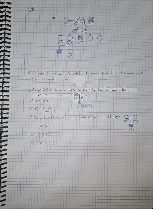 Miniatura del documento Practica-2DavidBouhyaneTorrenteGeneticaHumana.pdf