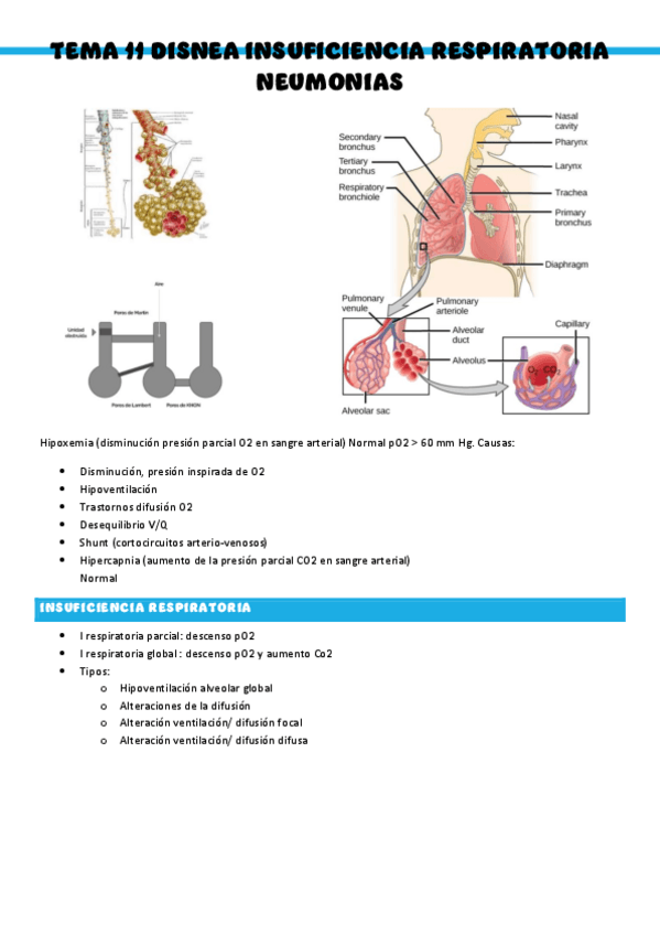 Miniatura del documento Patologia-medica-general-T11.pdf