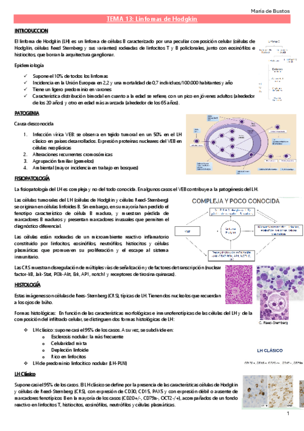 Miniatura del documento TEMA-13.-Linfomas-Hodgkin.pdf