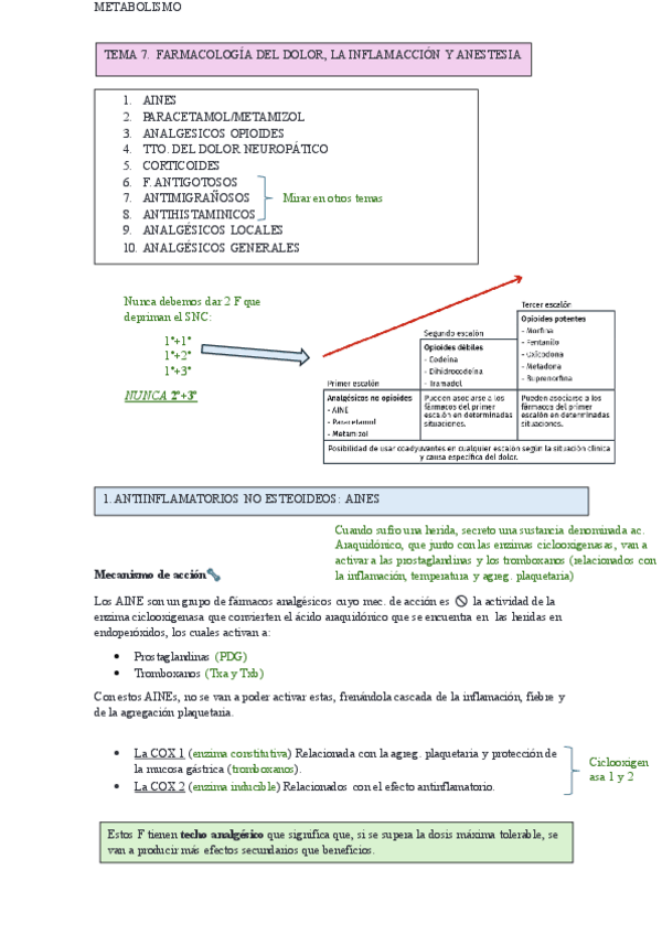 Miniatura del documento Metabolismo-Tema-7.-F.-del-dolor.pdf