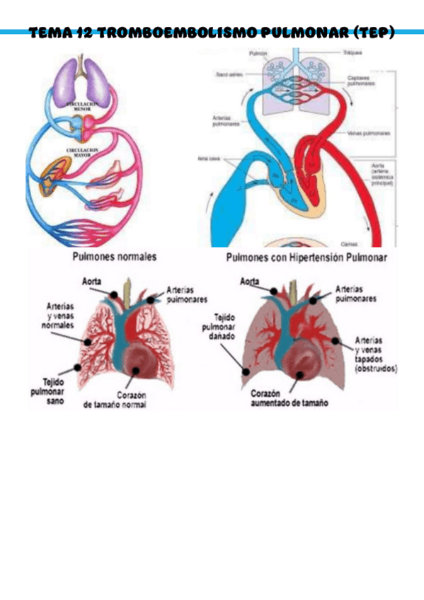 Miniatura del documento Patologia-medica-general-T12.pdf