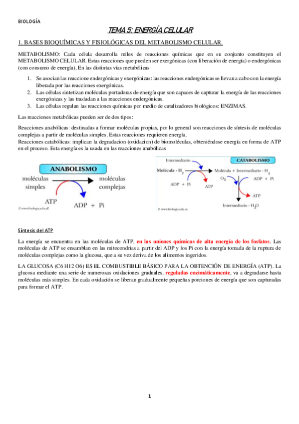 Miniatura del documento TEMA-5.pdf
