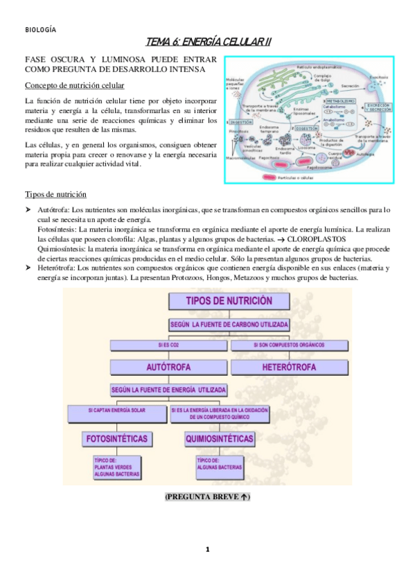 Miniatura del documento TEMA-6.pdf
