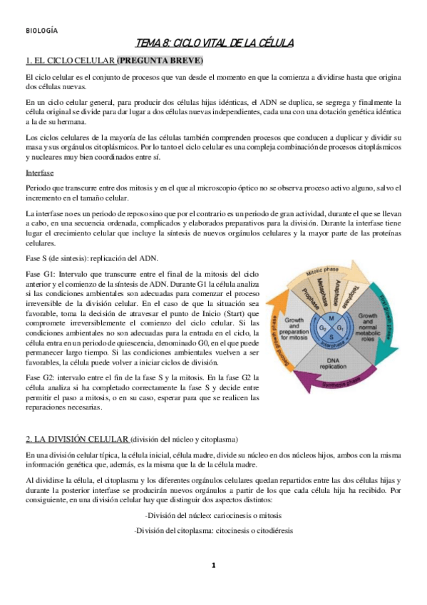 Miniatura del documento TEMA-8.pdf