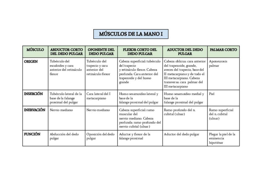 Miniatura del documento MUSCULOS-DE-LA-MANO.pdf