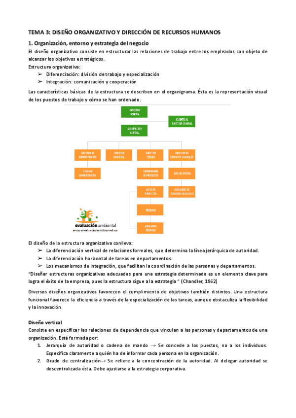 Miniatura del documento TEMA-3-DISENO-ORGANIZATIVO-Y-DIRECCION-DE-RECURSOS-HUMANOS.pdf