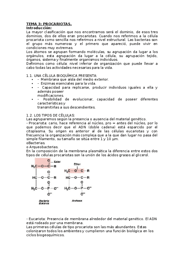 Miniatura del documento TEMA 3 (1).docx