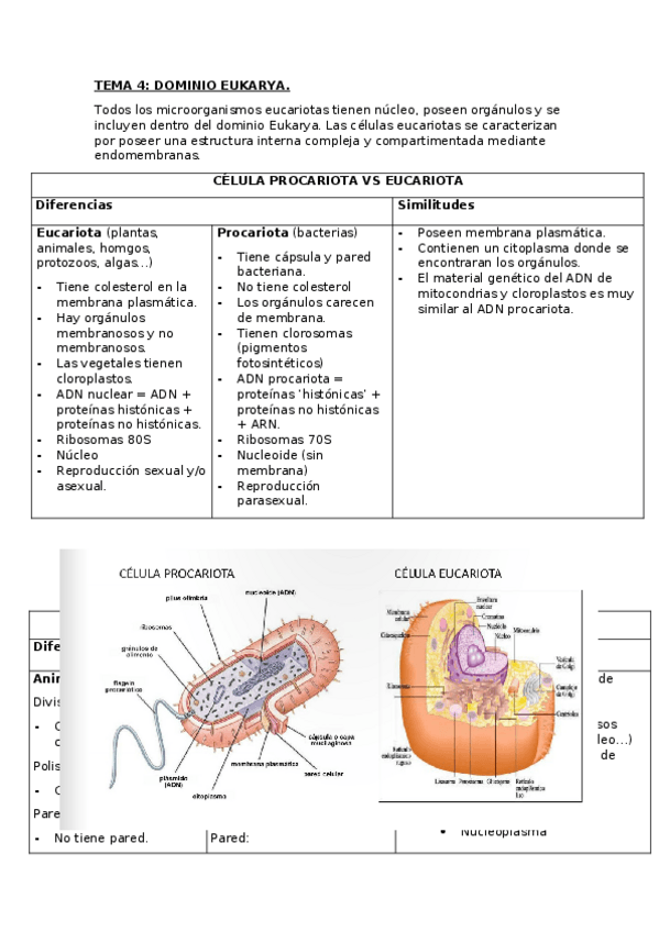 Miniatura del documento TEMA 4 (1).docx