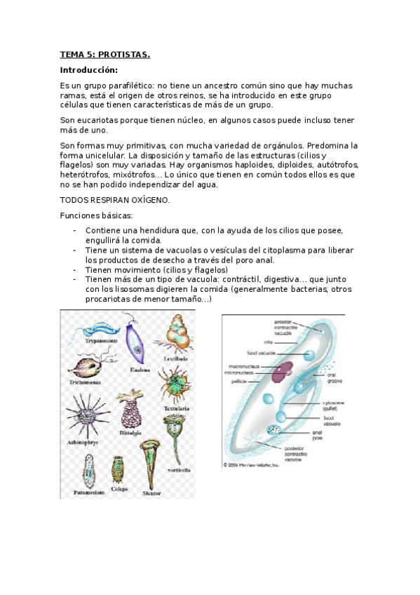 Miniatura del documento TEMA 5 (1).docx