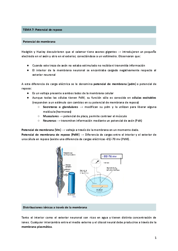 Miniatura del documento Tema-7-potencial-de-reposo.pdf