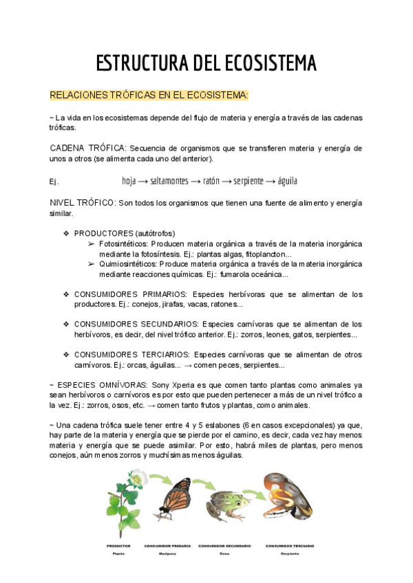 Miniatura del documento ESTRUCTURA-DEL-ECOSISTEMA.pdf