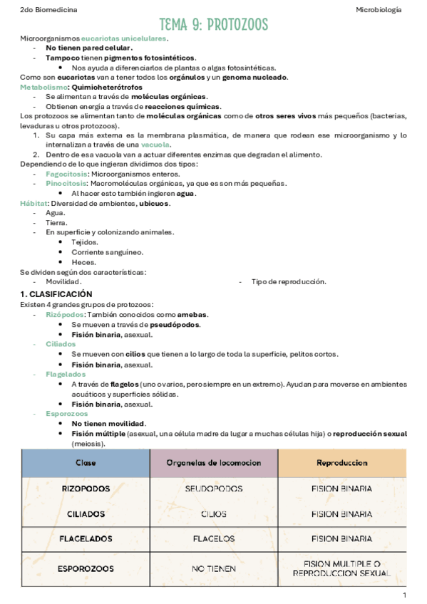 Miniatura del documento T9-Protozoos.pdf