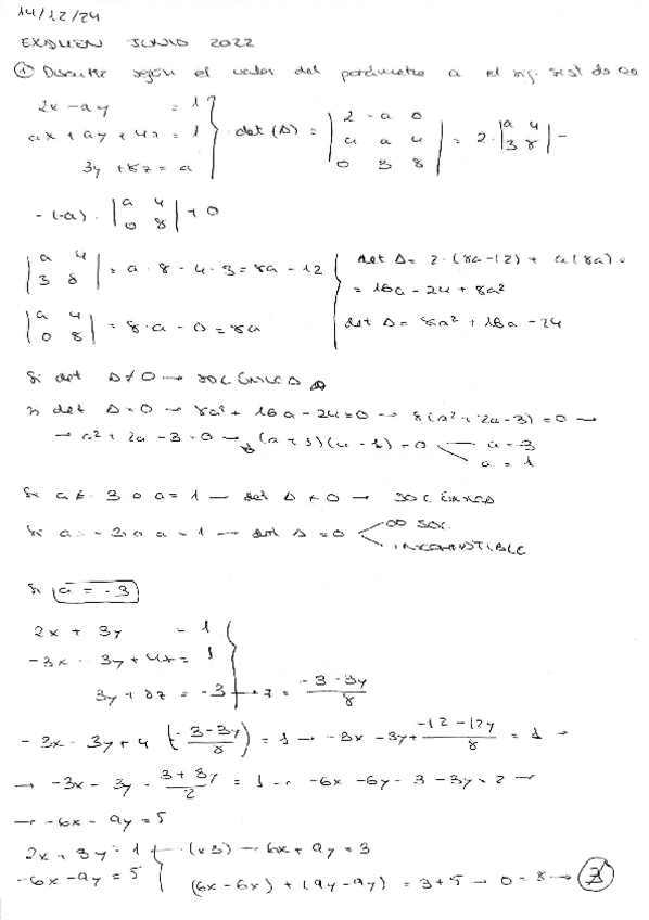 Miniatura del documento examenes-resueltos-2022-2024-y-mas.pdf