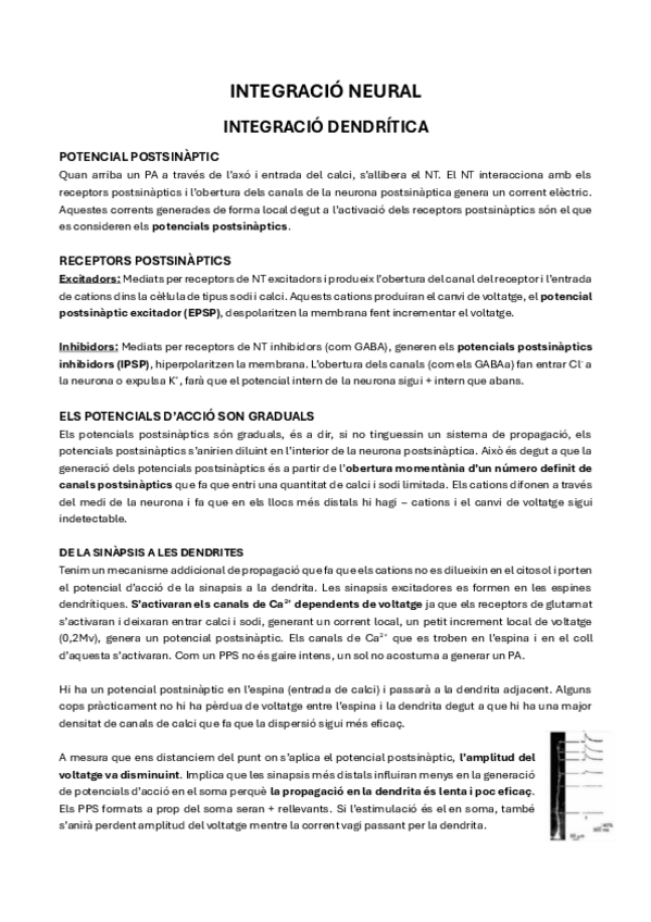 Miniatura del documento 15.-Integracio-Neural.pdf