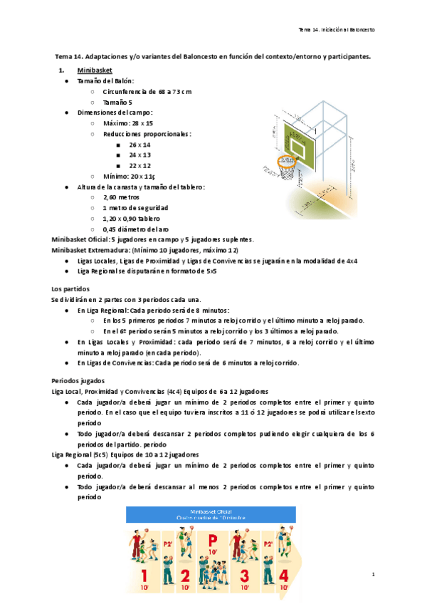 Miniatura del documento Tema-14.-Adaptaciones-yo-variantes-del-Baloncesto-en-funcion-del-contextoentorno-y-participantes..pdf