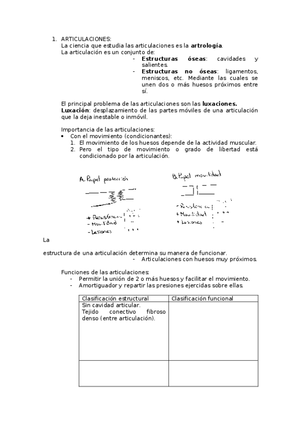 Miniatura del documento Anatomía 2º Parcial.docx
