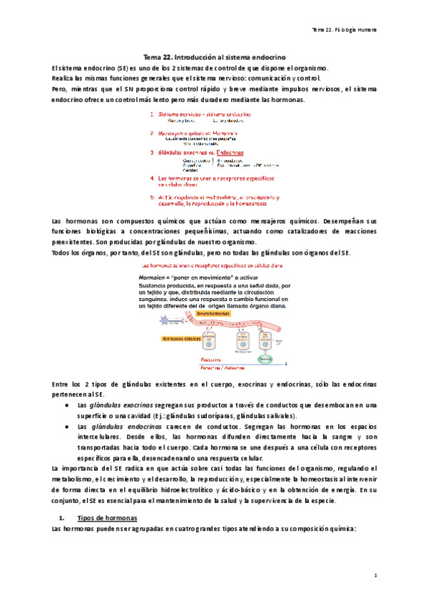 Miniatura del documento Tema-22.-Introduccion-al-sistema-endocrino.pdf