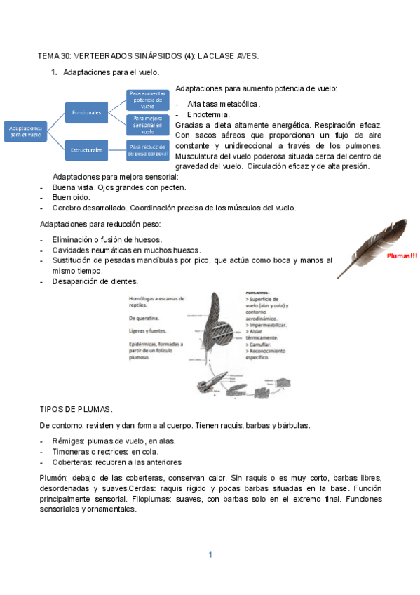 Miniatura del documento TEMA-30.pdf