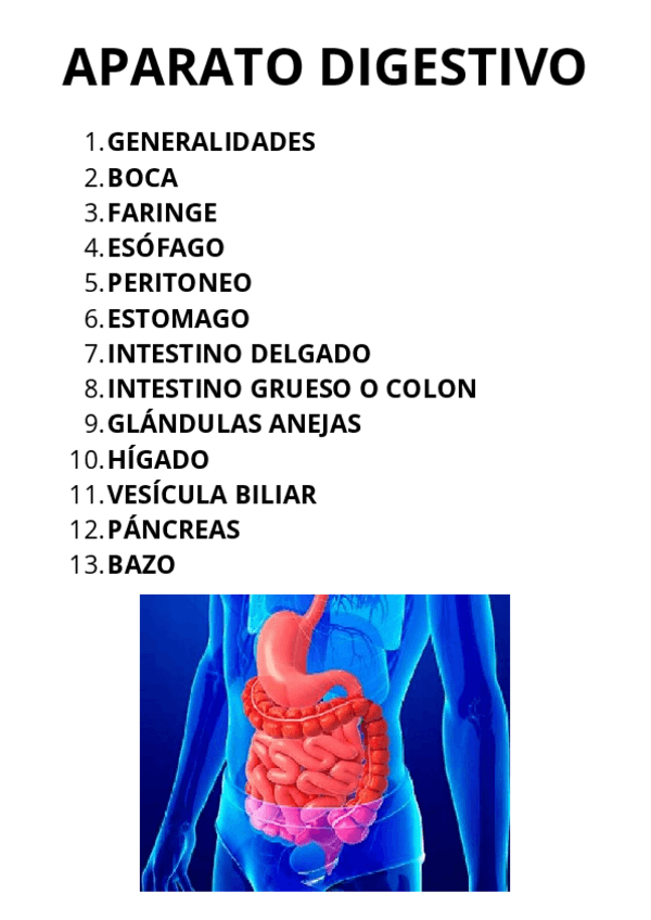 Miniatura del documento ANATOMIA-digestivo.pdf