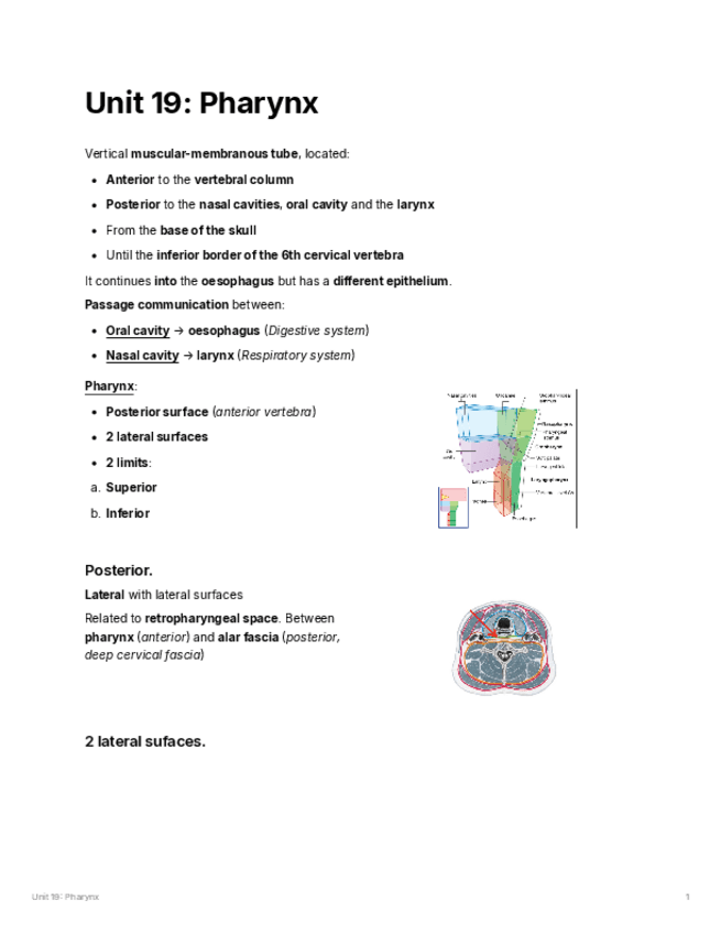 Miniatura del documento unit-19.pdf