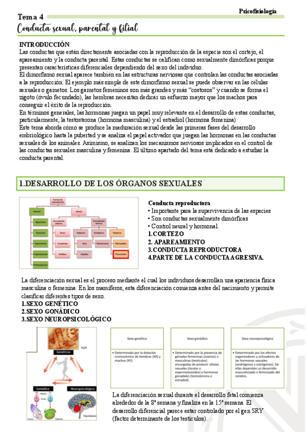 Miniatura del documento Tema-4.pdf
