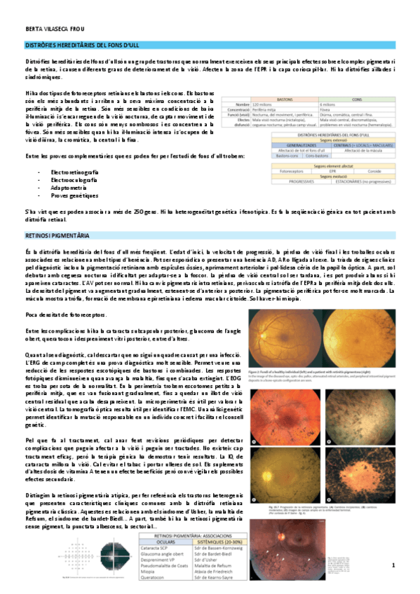 Miniatura del documento distrofies-hereditaries-de-la-retina.pdf