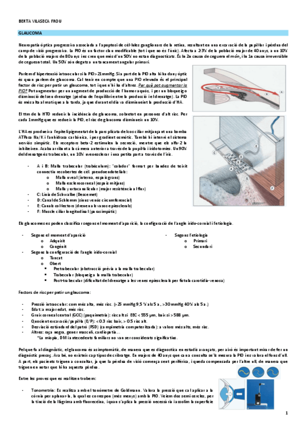 Miniatura del documento glaucoma.pdf