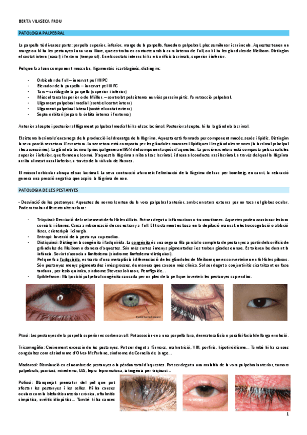 Miniatura del documento patologia-palpebral.pdf