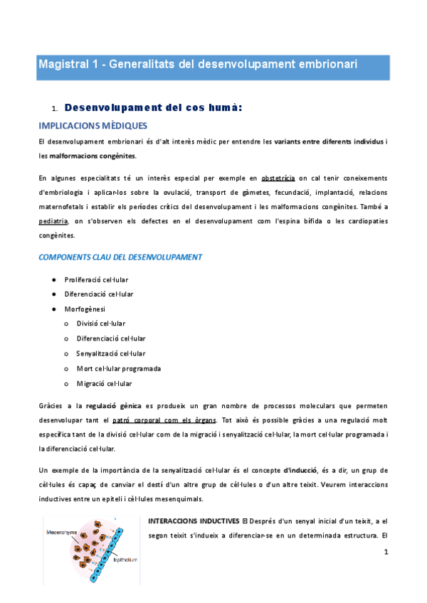 Miniatura del documento DOSSIER-ANATOMIA-CLINICA.docx-2.pdf