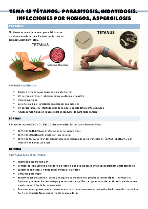 Miniatura del documento PATOLOGIA-QUIRURGICA-GENERAL-T19.pdf