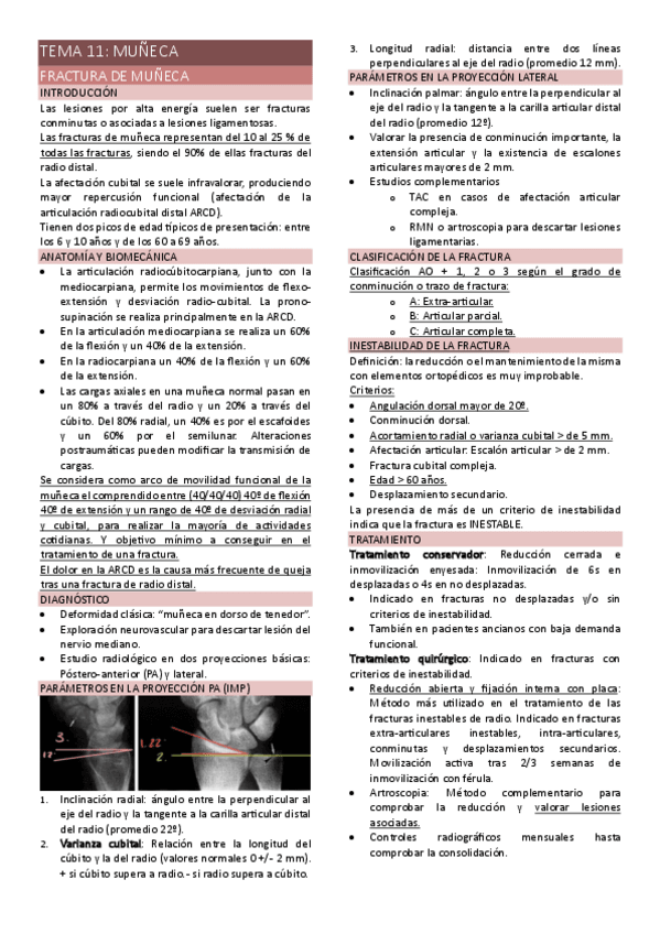 Miniatura del documento TEMA-11-MUNECA.pdf