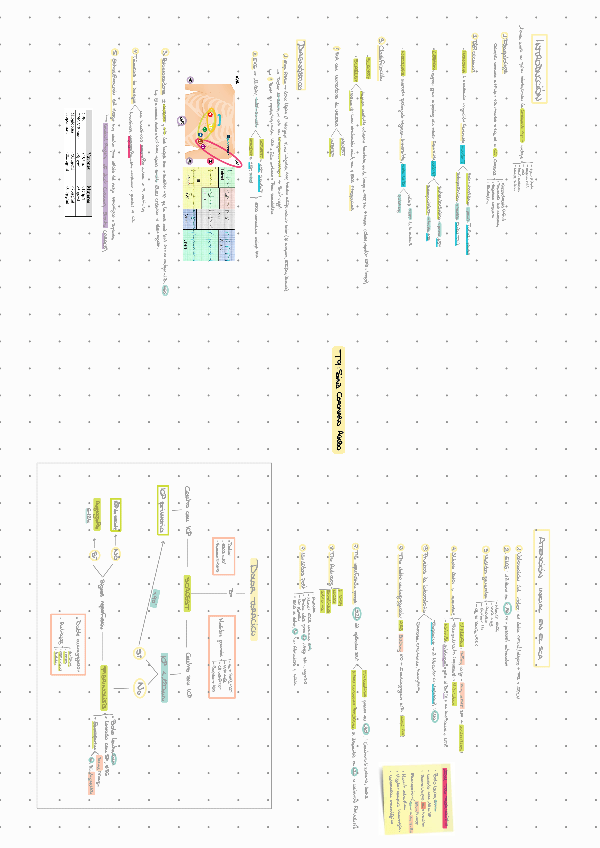 Miniatura del documento Esqeuema-T9.pdf