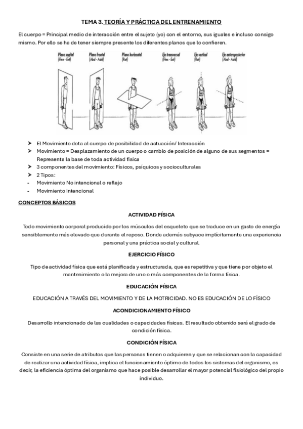 Miniatura del documento TEMA-3.-ENTRENAMIENTO-DEPORTIVO-Selles.pdf