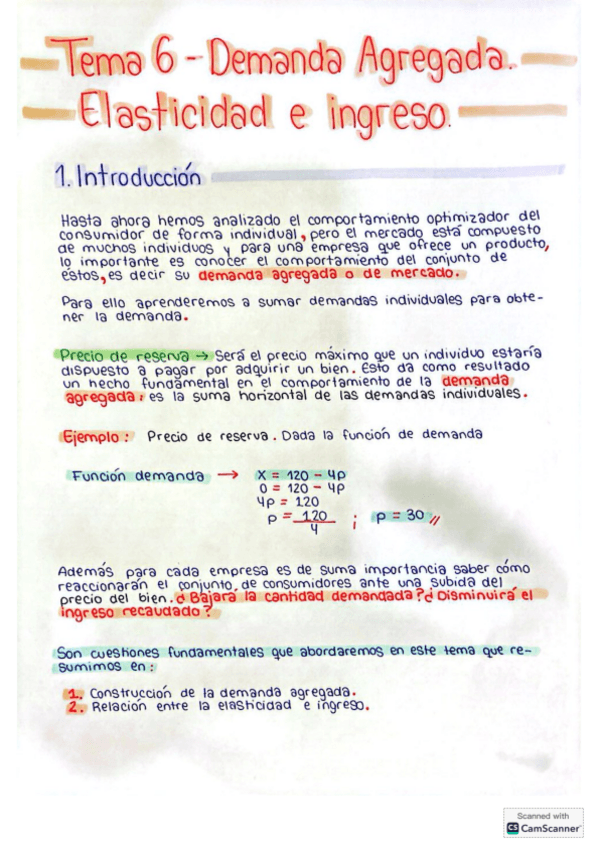 Miniatura del documento Tema-6-Demanda-Agregada.-Elasticidad-e-ingreso.pdf