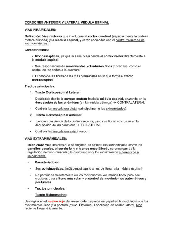 Miniatura del documento VIAS-PIRAMIDALES-Y-EXTRAPIRAMIDALES.pdf