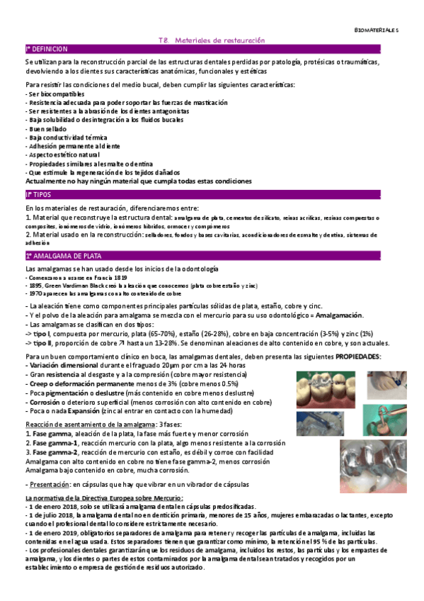Miniatura del documento T8-biomateriales.pdf
