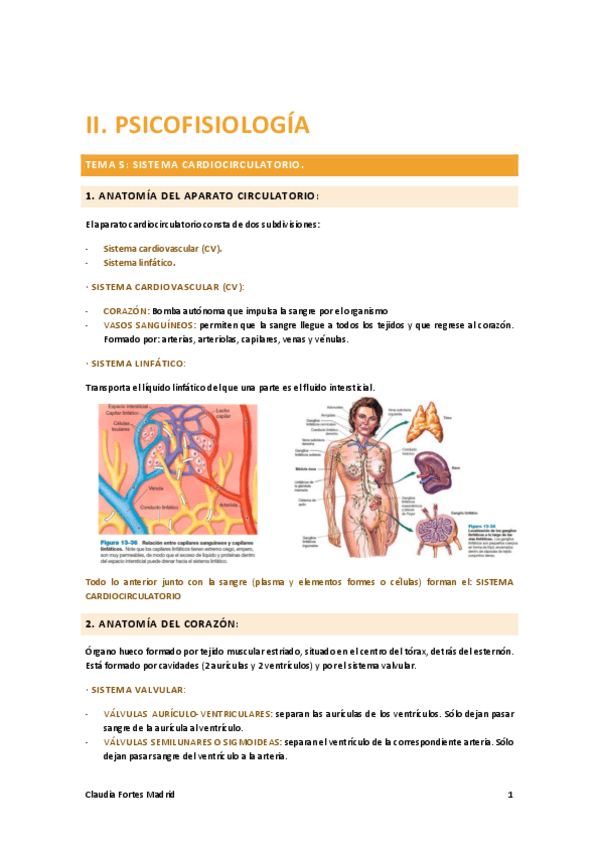 Miniatura del documento fundamentos-morfologicos-II-PSICOFISIOLOGIA.pdf
