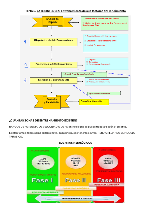 Miniatura del documento TEMA-5.-Zonas-de-entrenamiento-Selles.pdf