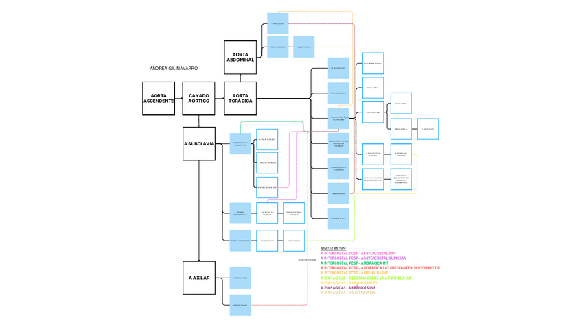Miniatura del documento AORTA-TORACICA.pdf