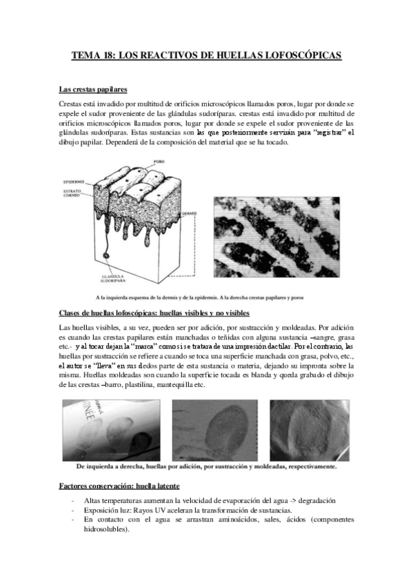 Miniatura del documento Tema-18-Los-reactivos-de-huellas-lofoscopicas.pdf