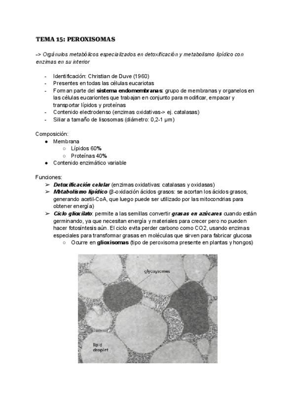 Miniatura del documento TEMA-15-PEROXISOMAS.pdf