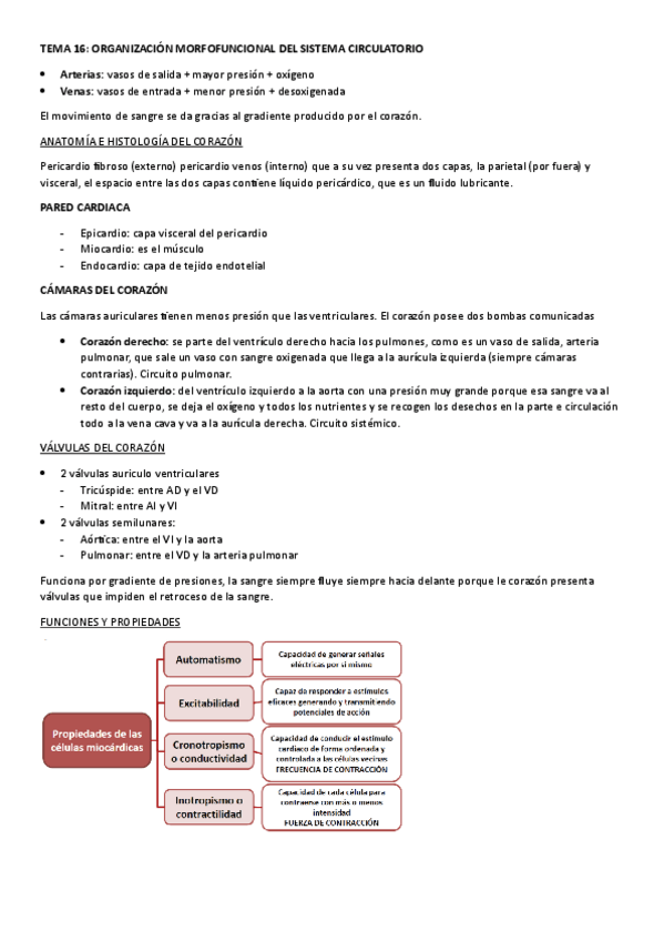 Miniatura del documento TEMA-16.-ORGANIZACION-MORFOFUNCIONAL-DEL-SISTEMA-CIRCULATORIO.pdf