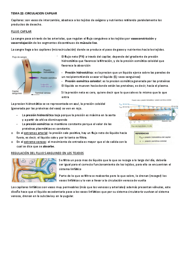 Miniatura del documento TEMA-22.-CIRCULACION-CAPILAR.pdf