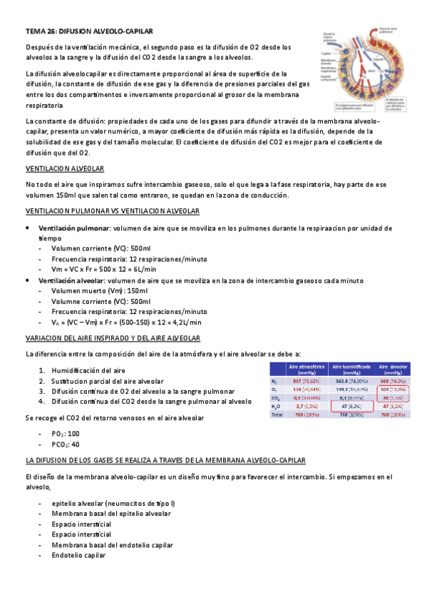 Miniatura del documento TEMA-26.-DIFUSION-ALVEOLO-CAPILAR.pdf
