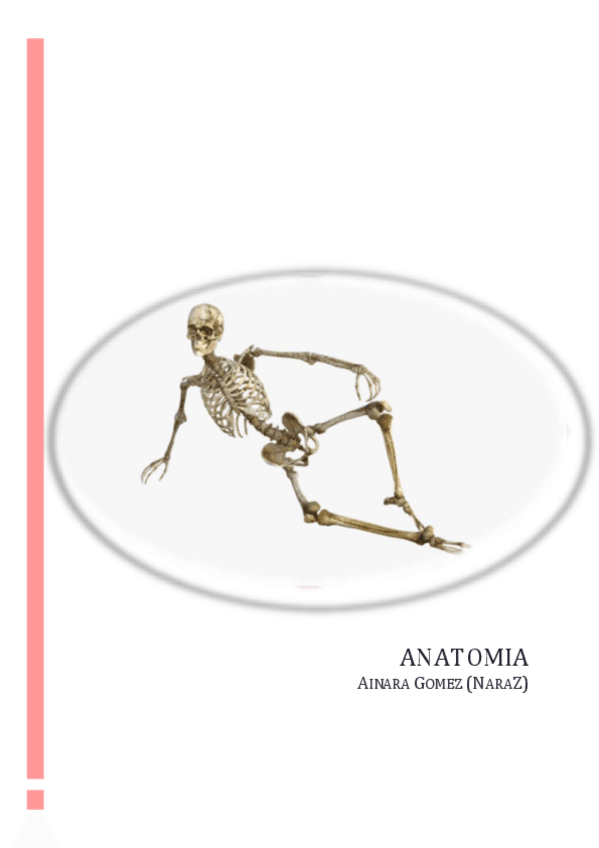 Miniatura del documento Resumen-Anatomia-RAYOS-ILERNA.pdf